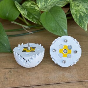 May include: Two white, gear-shaped objects with yellow and silver accents. One is cut in half, revealing the interior. The objects are on a wooden surface, with green foliage in the background.