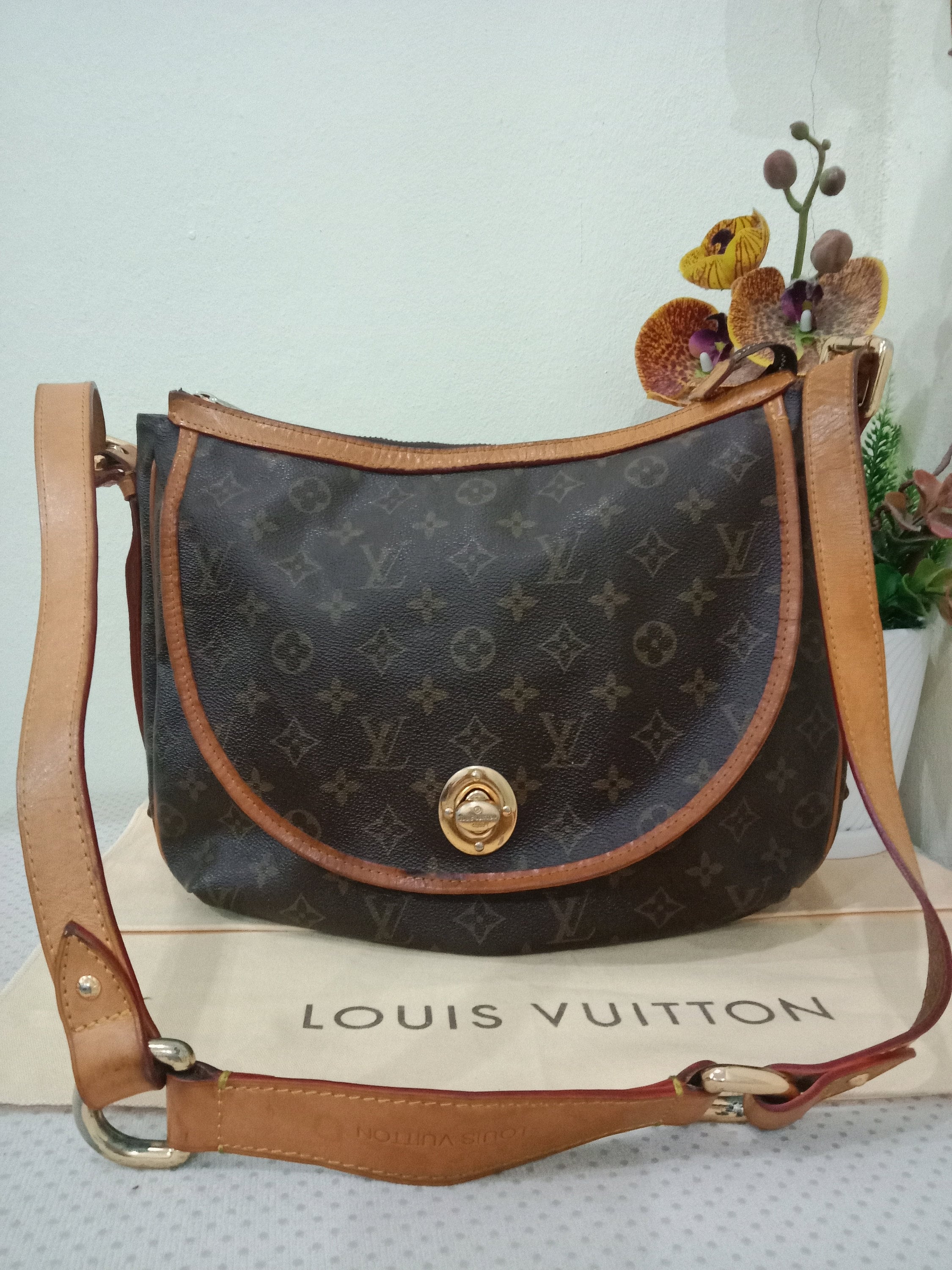 Louis Vuitton Louis Vuitton Tulum GM Monogram Canvas Shoulder Bag