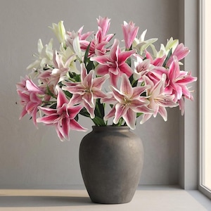 May include: A display of pink and white lilies in a dark grey vase. The lilies have a star-like form with pink petals and white edges. The vase is a simple, rounded shape, and the arrangement is set against a neutral backdrop.