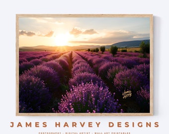 Lavender Field at Sunset | Photography | Wall Art | Digital Download | Downloadable Wall Art | Digital Wall Art | Wall Decor