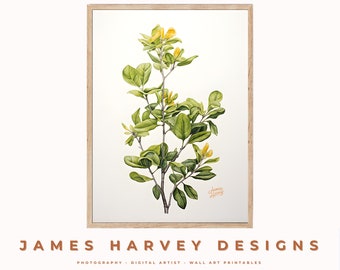 Fine Detail Floral | Botanic Art | Digital Download | Downloadable Wall Art | Digital Wall Art | Wall Decor