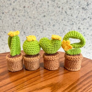 LOVE Mini Cactus Plant 4PCS Crocheted Cacti Handmade Crochet Flowers  Knitted Flowers for Mom, Crochet Gift Idea, Gifts for Her