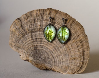 Natural Moss Earrings, Real Moss Earrings, Handmade Earrings, Botanical Earrings, Drop Earrings, Real Nature