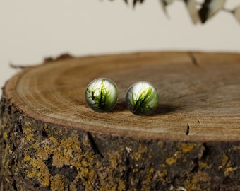 Moss earrings, real moss earrings, forest earrings, natural earrings, handmade jewelry, stud earrings, botanical earrings