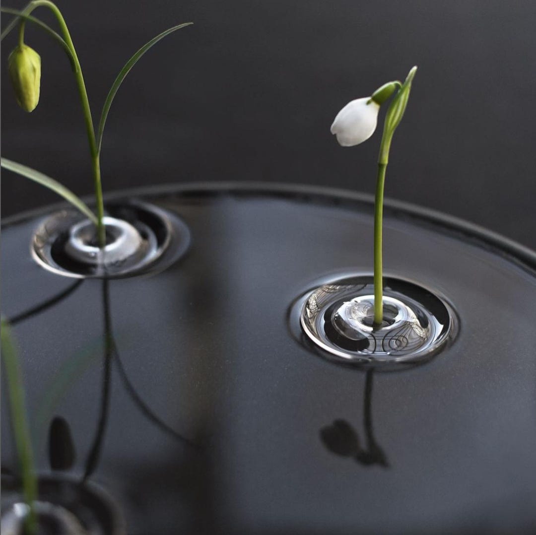 Floating Flower Vase - Japanese Designer Minimalist Decor (save on