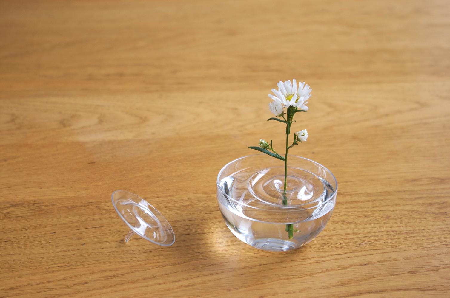 Floating Flower Vase - Japanese Designer Minimalist Decor (save on