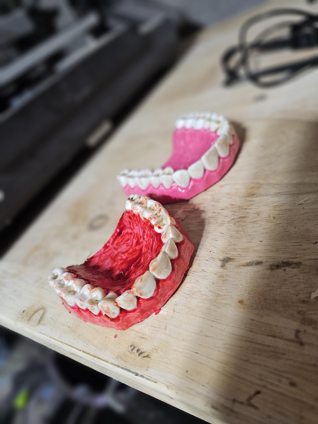 Upper and Lower Jaw With Teeth Prop Decor - Etsy
