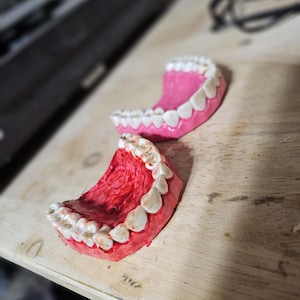 May include: Two sets of false teeth, one pink and one red, with white teeth, rest on a wooden surface. The pink set is in focus, while the red set is slightly blurred. The teeth are arranged in a semi-circular shape.