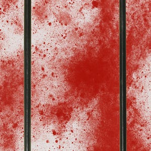 Puede incluir: Dos clavos de metal negro contra un fondo salpicado de rojo y blanco. Un clavo tiene una cabeza plana, el otro es puntiagudo. Los clavos están centrados verticalmente en la imagen.