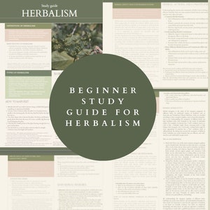 Peut inclure: Un cercle vert avec le texte "Beginner Study Guide for Herbalism" en blanc. L'image est un collage de texte et d'images liés à l'herboristerie.