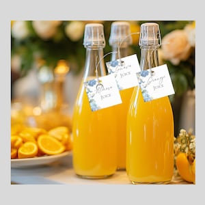 Modello di etichette per succhi di Mimosa da scaricare, biglietti da bar per succhi, arancia, mango, guava, etichette appese per caraffe, etichetta per bottiglie di succo d'arancia, modificabile W113