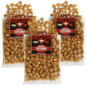 Cinnamon Coated Peanuts - Candy Peanuts - 1.8 POUNDS Total | Set of 3 bags, 10 ounces each