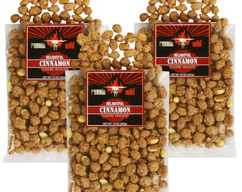 Cinnamon Coated Peanuts - Candy Peanuts - 1.8 POUNDS Total | Set of 3 bags, 10 ounces each