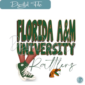 Florida A & M Universität HBCU Turnschuhe PNG, Sassy, Schuhe, Chucks, Schuhe, PNG, Basketball-Schuhe, Sublimation, dtf-Datei