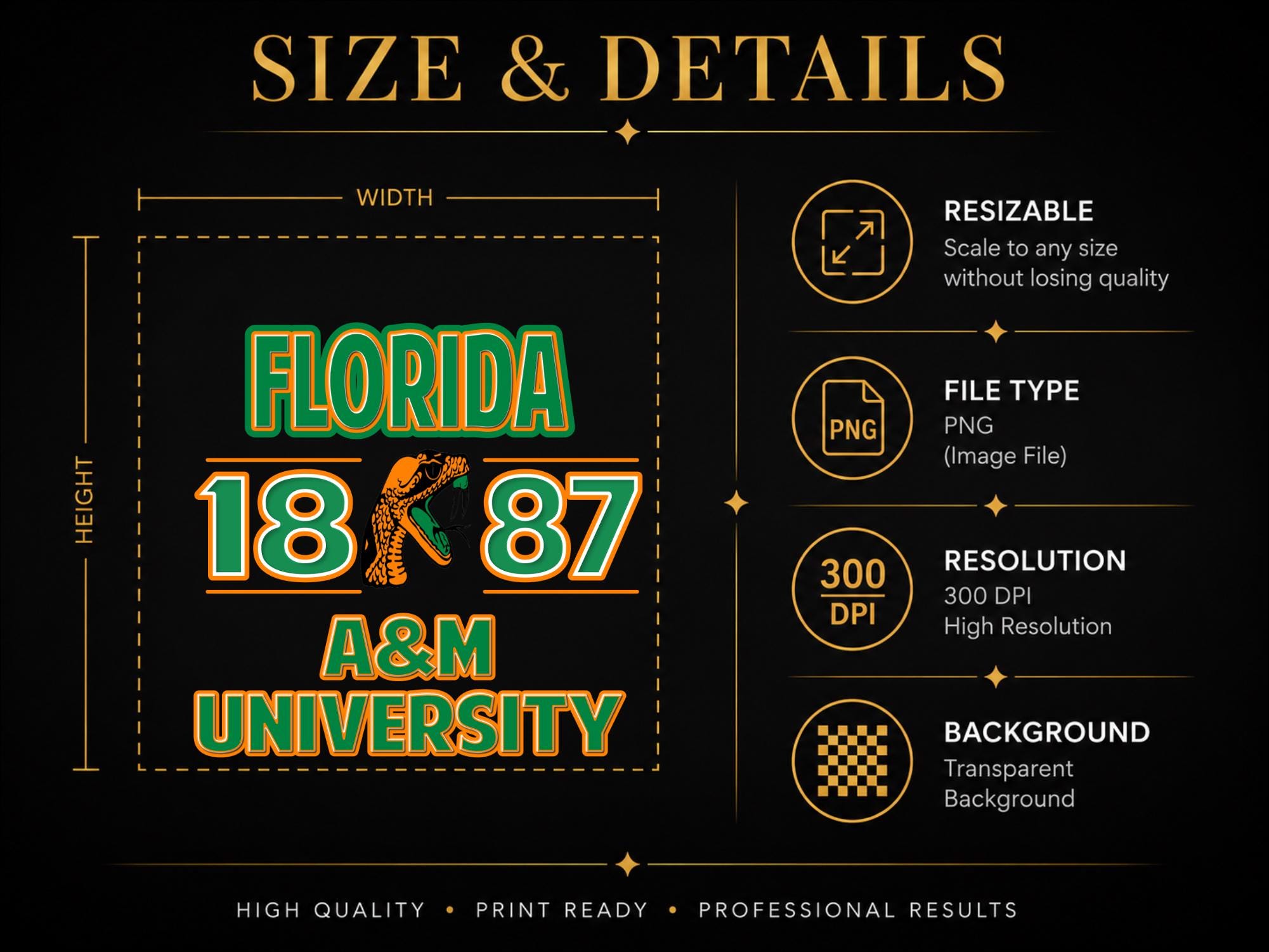 FAMU PNG Shirt Design HBCU Graduation Black College Pride Instant ...