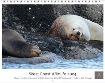 12 month Wildlife Wall Calendar 2024, 8.5"x11", spiral bound, featuring various British Columbia west coast bird and mammal images.