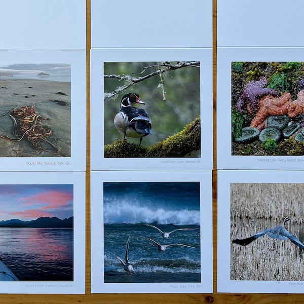 Set of 6 photo cards, original photographs, birds, nature, British Columbia