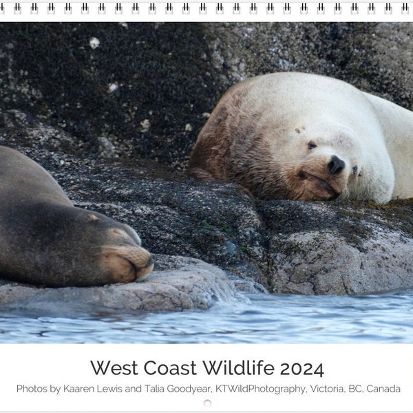 12 month Wildlife Wall Calendar 2024, 8.5"x11", spiral bound, featuring various British Columbia west coast bird and mammal images.