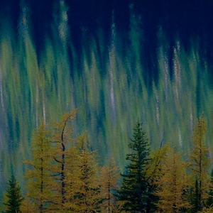 May include: A photograph of a lake with a reflection of trees in the water. The water is a deep blue color and the trees are a light green color. The reflection of the trees creates a vertical pattern in the water.