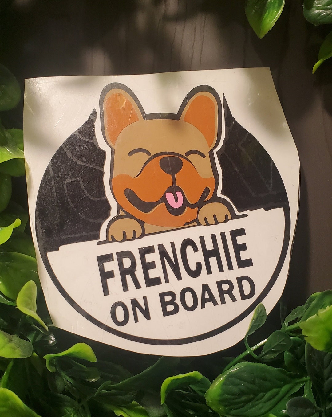 White Frenchie on Board Vinyl Car Decal, Dog Decal, Cute Dog ...