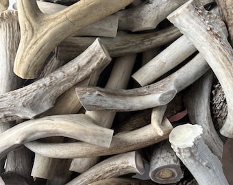 May include: A pile of natural antler dog chews in various sizes and shapes. The antlers are a light brown color and have a rough, textured surface.