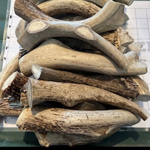 Deer Antler Dog Chews - Sold by the pound /  6 - 8” Long - Organic - All Natural