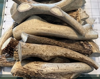 May include: A pile of natural antler dog chews. The antlers are various sizes and shapes, with some having a light brown color and others a darker brown color.