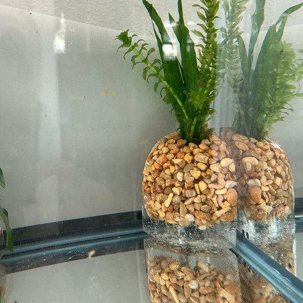 Corner Aquarium Plant Holder