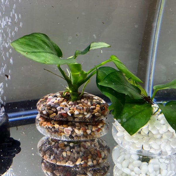 Aquarium Plant Holder (Stacked Stones)