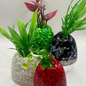 Mini Eck-Aquarium Pflanzenhalter (Java, Anubia)