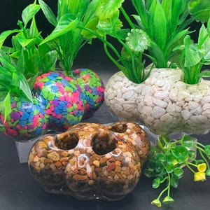 Può includere: Tre vasi in ceramica a forma di nuvola, ognuno riempito con ciottoli di diversi colori. I vasi sono riempiti con piante verdi.