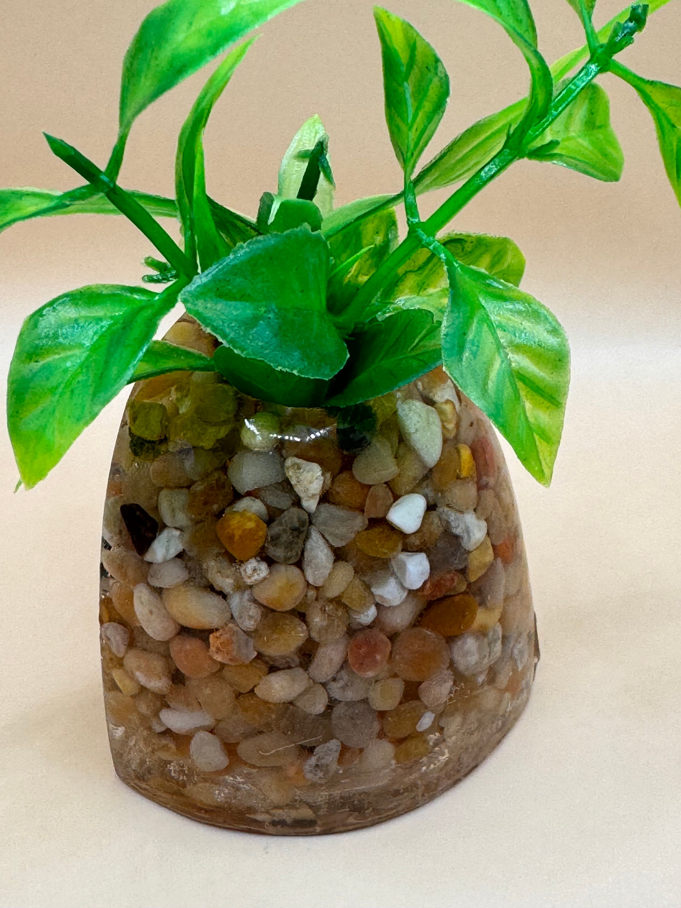 Java Holder Image Mini Corner Aquarium Plant Holder (java, Anubia) - Etsy