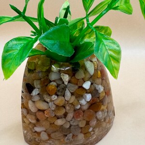 Mini Corner Aquarium Plant Holder (Java, Anubia)