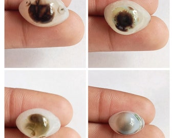 Natural Agate 100% Natural Agate Eye Banded Agate Eyes Cabochons Gemstone Handmade Eyes