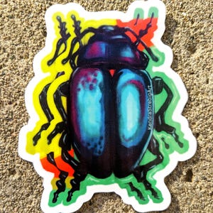 Double Edge Beetle Sticker, High Quality Die Cut Vinyl for Indoor and Outdoor use, Scarab/Bug/Insect, Created from Original Spray Painting
