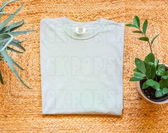 Comfort Colors 1717 Bay Shirt Mockup (Digital Download)