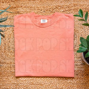 Terracotta Comfort Colors 1717 Mockup Terracotta | C1717 Shirt Mockup Terracotta Comfort Colors 1717 Terracotta Mockup