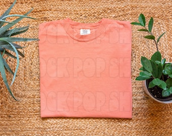 Terracotta Comfort Colors 1717 Shirt Mockup (Digital Download)