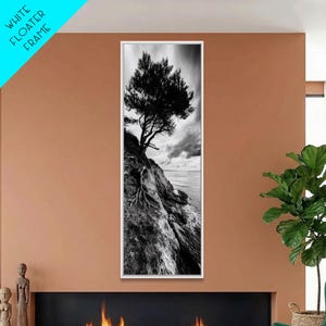 Cliff Tree, Coastal Roots, Dramatic Landscape, Framed Canvas Print, Bold Nature Wall Art, Modern Black And White Decor, Fall Office Accent