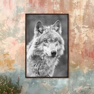 Wolf Portrait in Black and White Photography - Framed Canvas Print, Wildlife Photography, Rustic Wolf Art for Home Wall Decor