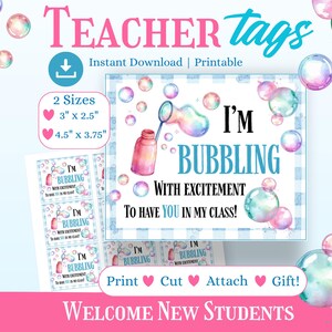 Teacher Back to School Gift Tags, Bubble Theme, Student Welcome Gift, Excited You are in My Class, Treat Tag, Printable Classroom Favor