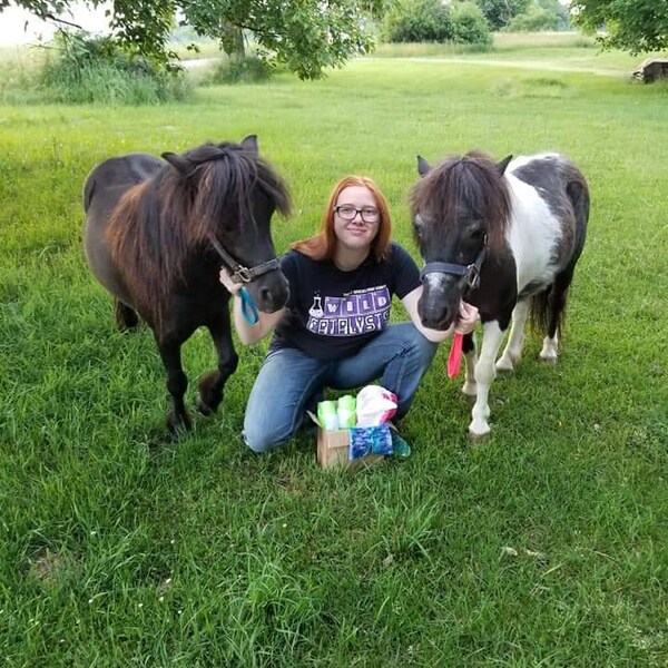 Horse Monthly Box Etsy