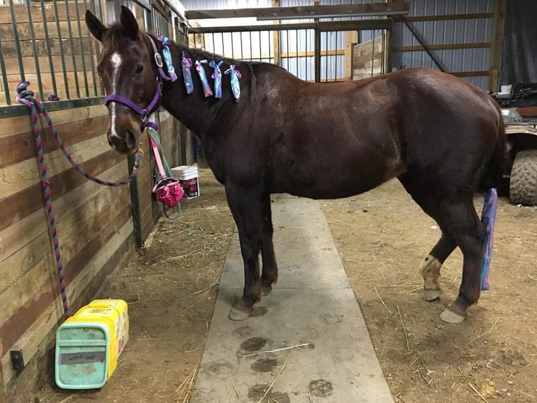 Horse Tail Bag Pdf Sewing Pattern, Horse Tail Bag Pattern, Horse Tail Bag Sewing Pattern, Horse