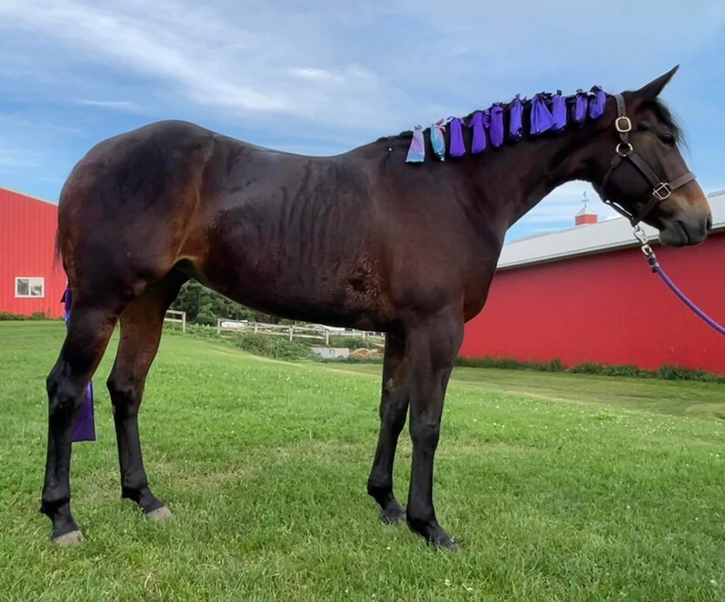 Horse Mane and Tail Bag Pdf Pattern, Horse Mane Bag Pattern, Horse Tail Bag Pattern, Horse