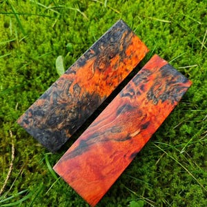 Puede incluir: Dos bloques de madera rectangulares con un patrón arremolinado de color naranja, rojo y negro. Los bloques se colocan sobre musgo y hierba verdes, resaltando la veta natural de la madera.