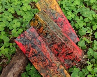 Stabilized karelian birch. Multicolor