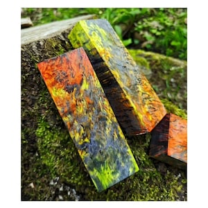 May include: A collection of rectangular wooden blocks with a striking colour palette. The blocks feature a mix of orange, yellow, green, and blue hues, with a textured, swirling design. The wood is displayed on a bed of green moss and a tree stump.