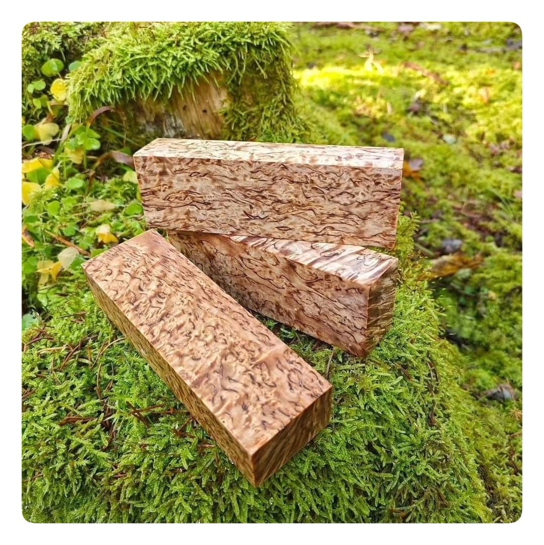 Karelian curly birch stabilized wood. Natural