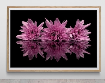 都築華子Tuzuki Hanako1970~/Spring Sunshine 都築華子Tuzuki Hanako1970~/Spring Sunshine