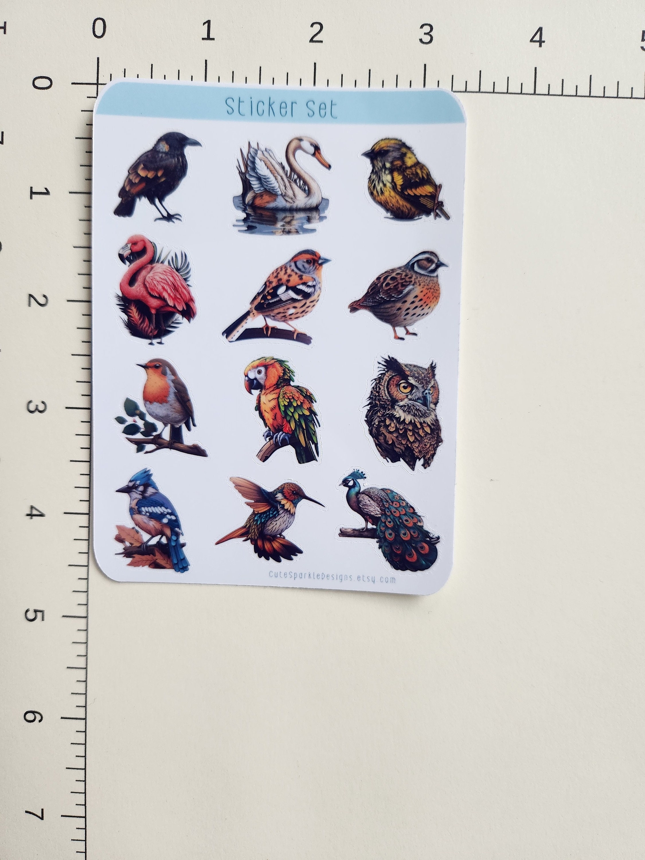 Colorful Bird Stickers: Vibrant and Eye-Catching Decorations for Any  Surface! Sticker for Sale by ArtWildest